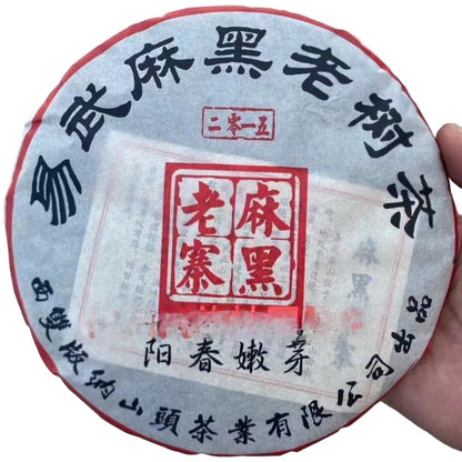 2015 Yiwu Mahei Old Tree Raw Pu-erh Tea Cake, 357g, from Yunnan