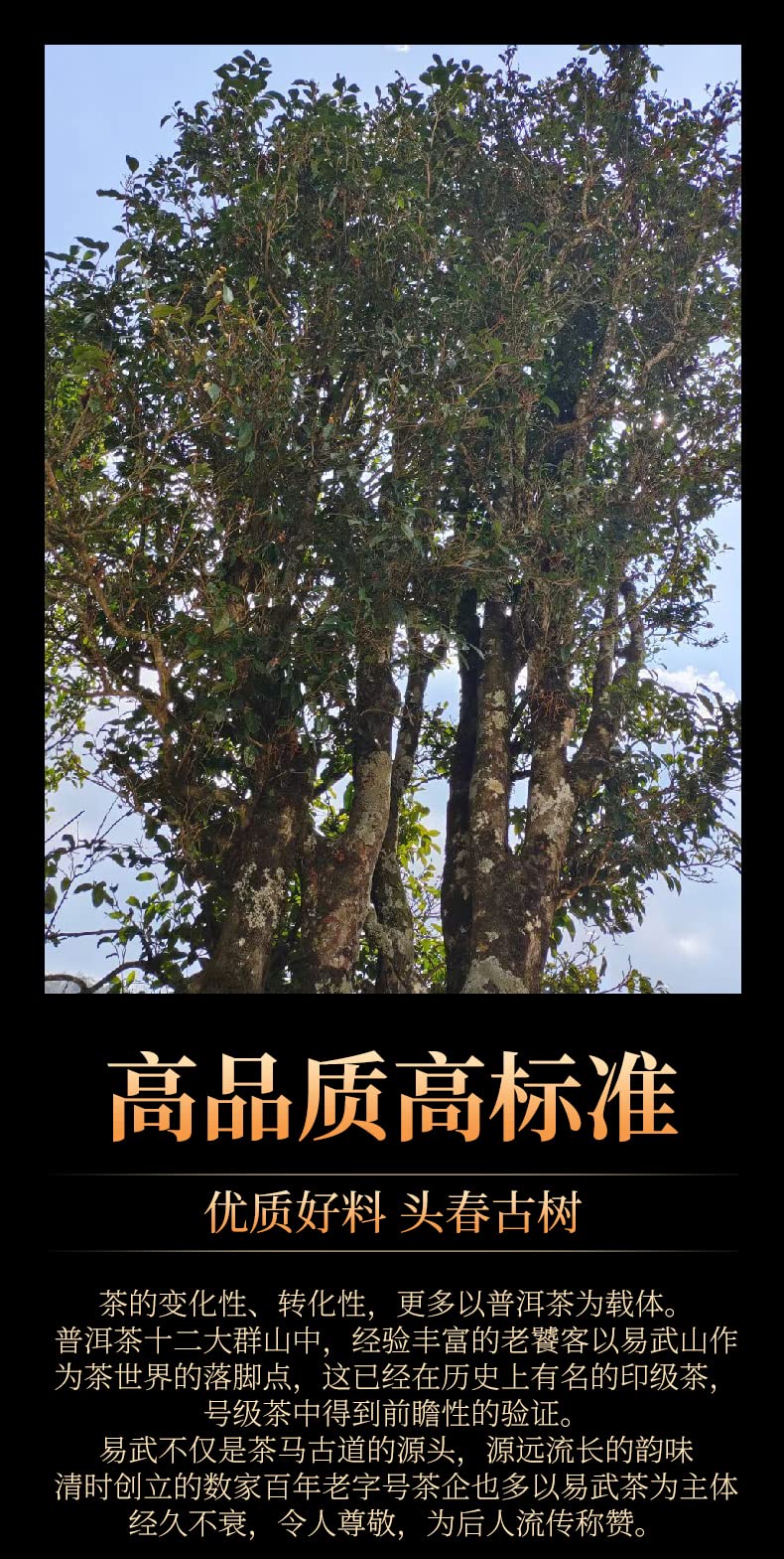 2019 Qingzhong Ancient Tree Yiwu Zhengshan Raw Pu-erh Tea Cake, 357g, from Yunnan