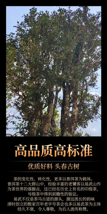2019 Qingzhong Ancient Tree Yiwu Zhengshan Raw Pu-erh Tea Cake, 357g, from Yunnan