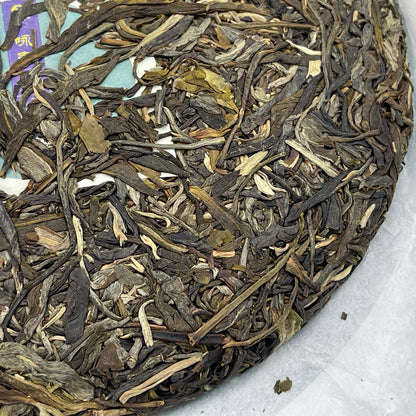 2023 Shengyu Wolongxuan Yong Chun Raw Pu-erh Tea Cake, 357g, from Yunna