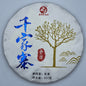 2022 Shengyu Wulongxuan Qianjiazhai Raw Pu-erh Tea Cake, 357g, from Yunnan