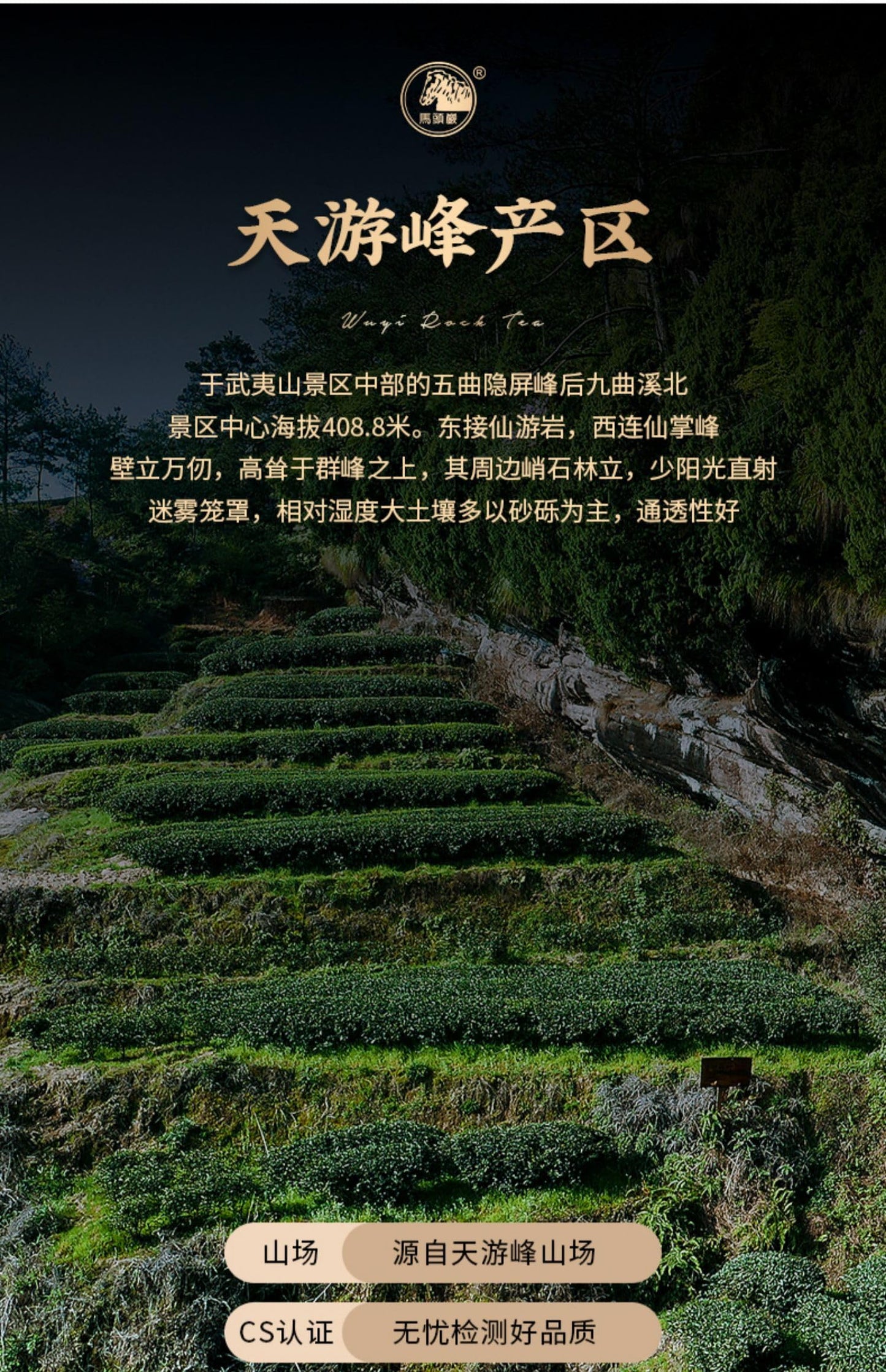 Golden Copper Coin Wuyi Rock Oolong Tea, 100g, Tianyou Peak Origin