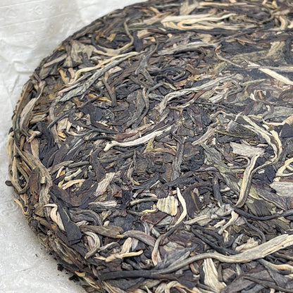 Sheng Jia Yuan Manzhuan 2008 Raw Pu-Erh Tea Cake 357g