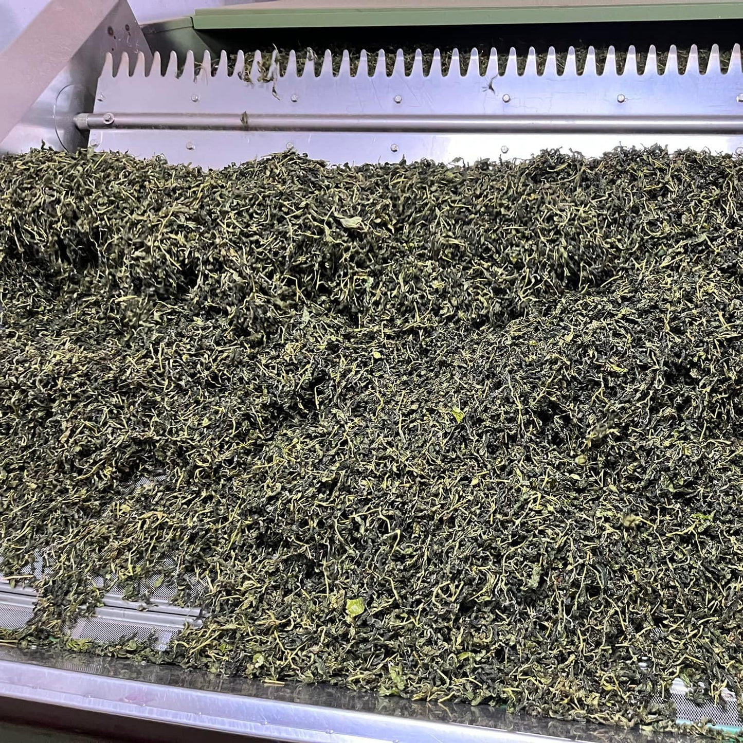 Taiwan unique tea,Namasya 條形紅茶,75g*8
