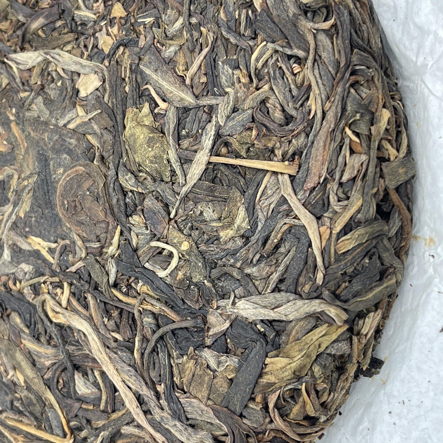 2023 Longtanqing Raw Pu-erh Tea Cake, 200g, from Yunnan