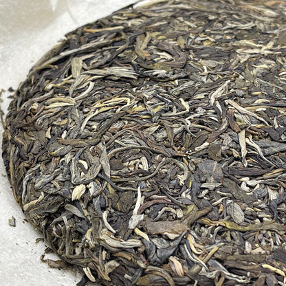 Sheng Jia Yuan Yibang 2009 Raw Pu-Erh Tea Cake 357g