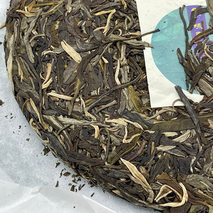 2023 Shengyu Wolongxuan Yong Chun Raw Pu-erh Tea Cake, 357g, from Yunna