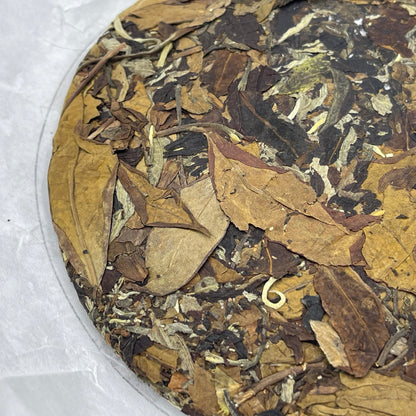 2021 Bohe Tang White Tea Cake, 357g, from Yunnan