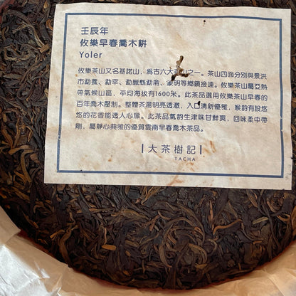 Pu-Erh tea,2012,The Tea Tree,Euler,399g,Raw