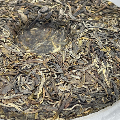 2023 Gujun Mangfei Raw Pu-erh Tea Cake, 357g, from Yunnan