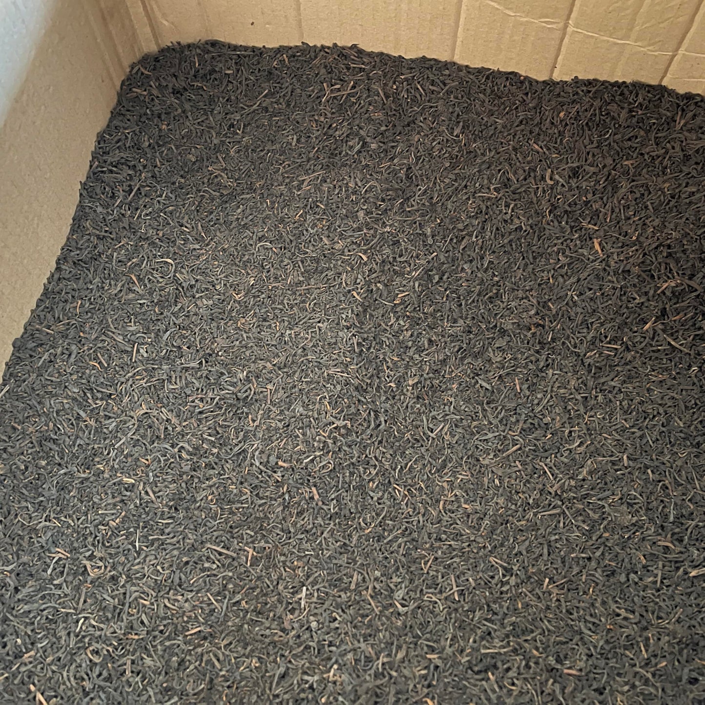 90s Liu Bao Tea – Loose Leaf Aged in Hong Kong Storage, 600g