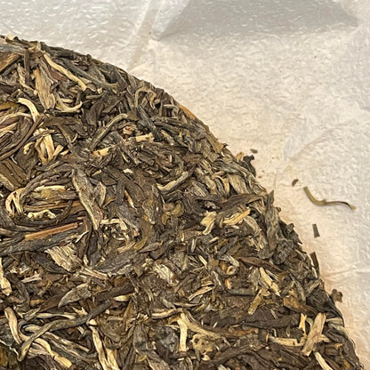 Sheng Jia Yuan 2021 Phoenix Nest Pu-Erh Tea, 357g, Raw