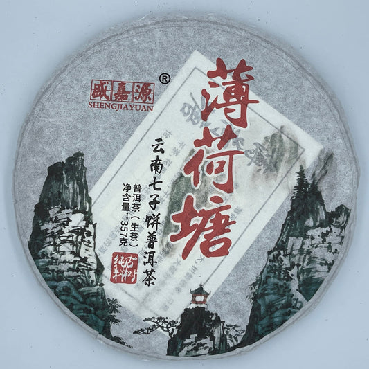2020 Bohe Tang Raw Pu-erh Tea Cake, 357g, from Yunnan