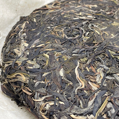 Sheng Jia Yuan Yishanmo 2021 Raw Pu-Erh Tea Cake 357g