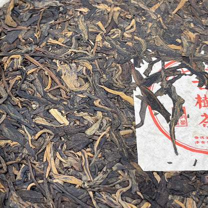 Jinggu Big Tree 2012 Raw Pu-Erh Tea Cake 357g