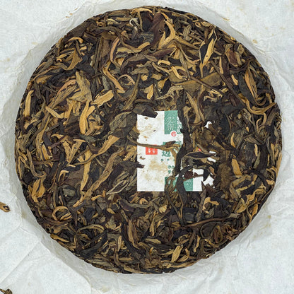 Jingmai Mountain 2013 Raw Pu-Erh Tea Cake 200g