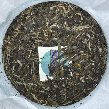 2023 Shengyu Wolongxuan Yong Chun Raw Pu-erh Tea Cake, 357g, from Yunna