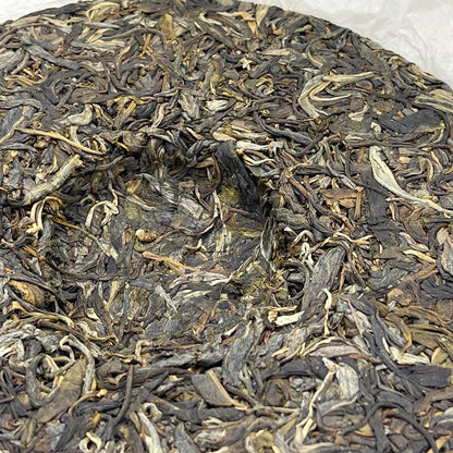 Private Custom Wengong Ancient Tree Raw Pu-Erh Tea 2022 – 357g