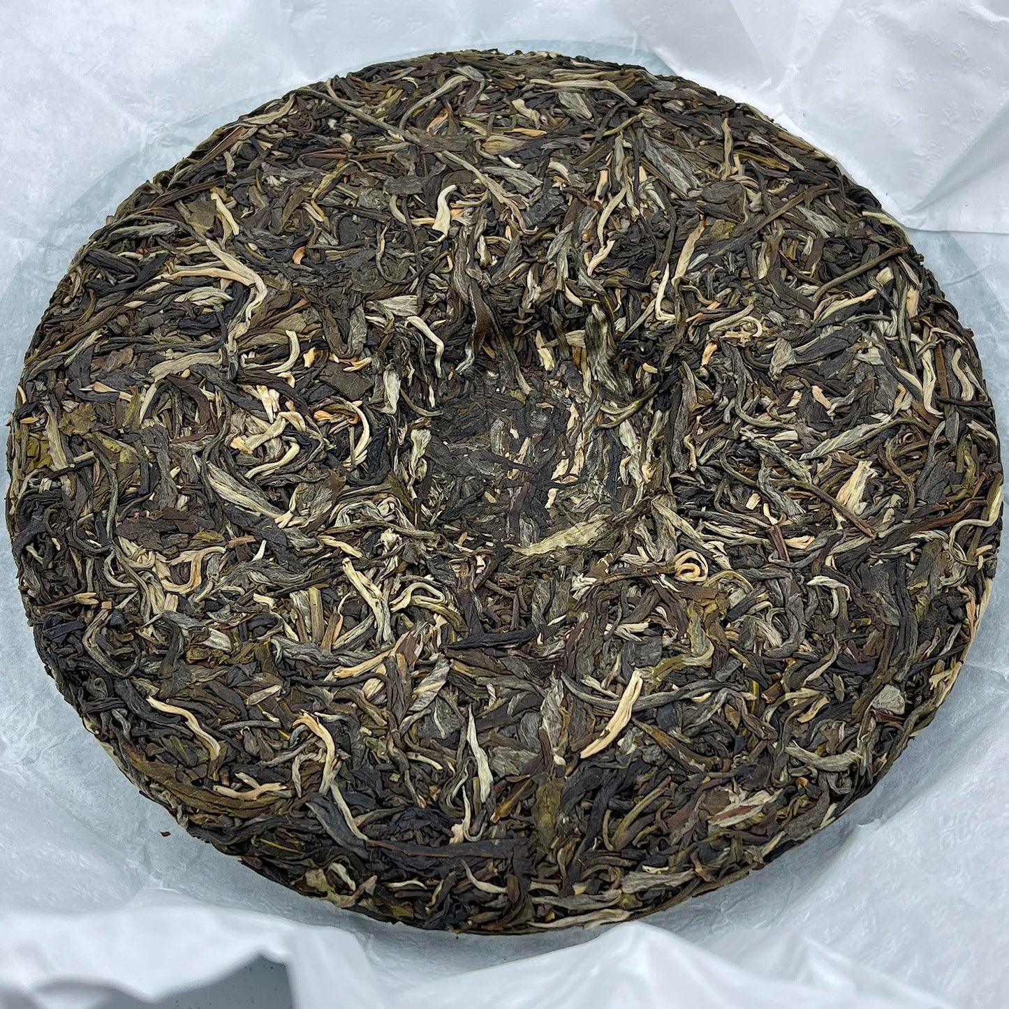 2023 Shengyu Wolongxuan Yong Chun Raw Pu-erh Tea Cake, 357g, from Yunna