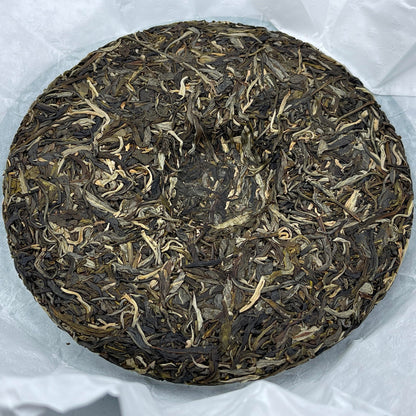 2023 Shengyu Wolongxuan Yong Chun Raw Pu-erh Tea Cake, 357g, from Yunna